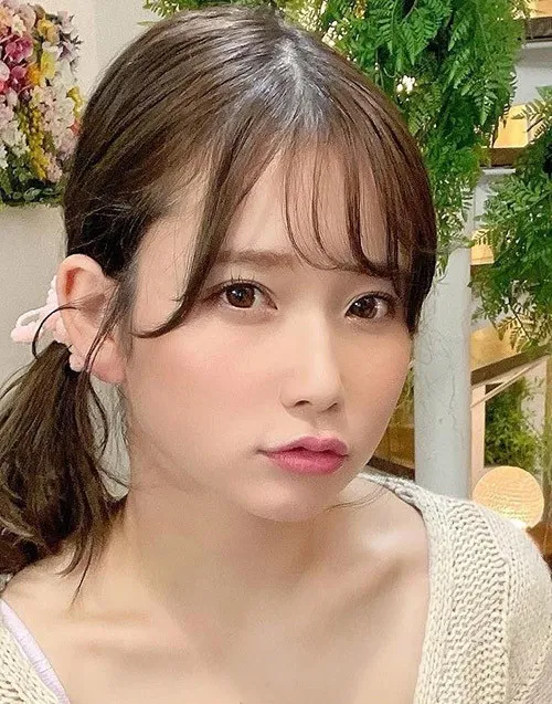 孤岛回声 推荐